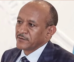 Temesgen Tiruneh 3 1