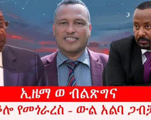ኢዜማ ወ ብልጽግና – ቆሎ የመጎራረስ ውል አልባ ጋብቻ