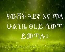 tzibt
