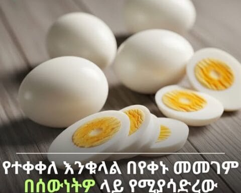 520827351 776460438054217 8434740972253568073 n