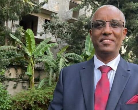 yred haile mariam
