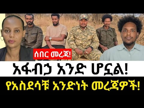 ሰበር / አፋብኃ አንድ ሆኗል / የአስደሳቹ አንድነት መረጃዎች!